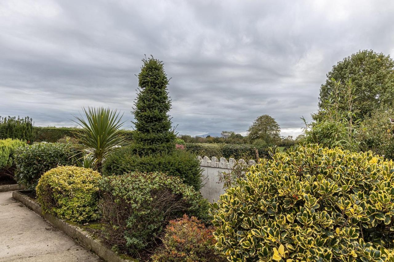Hally'S Farm Kilkenny Exteriör bild